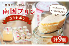 南国プリン「カタセボン(計9個)」 スイーツ 洋菓子 国産_T038-0031