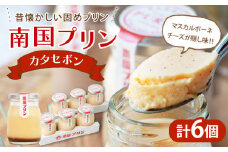 南国プリン「カタセボン(計6個)」 スイーツ 洋菓子 国産_T038-0021