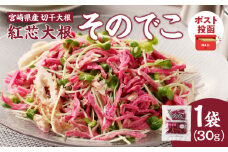 【2週間以内発送】＼ポスト投函／≪宮崎県産≫切干大根(紅芯大根-そのでこ-)計1袋 野菜 加工品 国産_T003-010