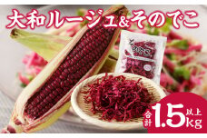 ≪期間限定≫大和ルージュ＆そのでこセット(合計1.5kg以上) 野菜 加工品 国産_T003-014