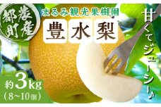 先行予約≪期間限定≫まるみ観光果樹園の『豊水梨』(約3kg) なし 果物 フルーツ 天然 ミネラル栽培_T036-001