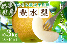 ≪期間限定≫まるみ観光果樹園の『豊水梨』(約3kg) なし 果物 フルーツ 天然 ミネラル栽培_T036-001