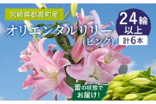 【2週間以内発送】「オリエンタルリリー ユリ」(ピンク) 計6本  生花 切花 百合 国産_T045-0021