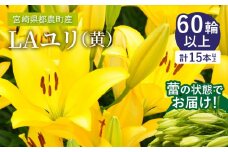 【2週間以内発送】≪期間限定≫LA ユリ(黄) 約15本 生花 切花 百合 国産_T045-0061