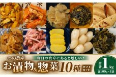 【2週間以内発送】お漬物＆惣菜10種のギフトセット(合計1kg) 漬物 おかず 野菜 加工品 国産_T037-0081