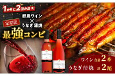 ≪定期便≫＼1か月に2回お届け!!／都農ワイン×うなぎ蒲焼★最強コンビ 酒 飲料 鰻 魚介 国産_T999-0031