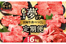 ≪6か月定期便≫夢の宮崎牛食べつくしセット(総重量6kg) 肉 牛 牛肉 おかず 国産_T030-143