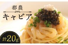 【2週間以内発送】都農キャビア(計20g) 魚 魚介 魚卵 国産_T047-0021
