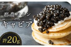 【2週間以内発送】都農ワインキャビア(計20g) 魚 魚介 魚卵 国産_T047-0031