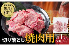 【2週間以内発送】宮崎県産黒毛和牛切り落とし(焼肉用)計1kg 肉 牛 牛肉 国産_T023-0171