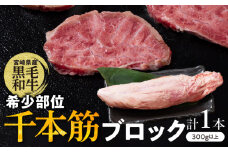 【超希少】宮崎県産黒毛和牛千本筋ブロック(計300g以上) 肉 牛 牛肉 国産_T023-0151