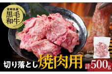 【2週間以内発送】宮崎県産黒毛和牛切り落とし(焼肉用)計500g 肉 牛 牛肉 国産_T023-0161