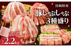 【令和7年9月発送】全部小分け真空パック!!宮崎県産豚しゃぶしゃぶ3種盛りセット合計2.2kg 肉 豚 豚肉 おかず 国産_T041-0022-09