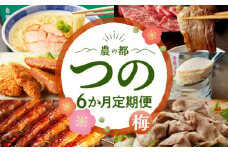【10月1日より寄附額改定】≪6か月お楽しみ定期便≫都農町定期便(梅) 肉 加工品 デザート 国産_T999-0052