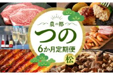 ≪6か月お楽しみ定期便≫都農町定期便(松) 肉 加工品 鰻 国産_T999-0071