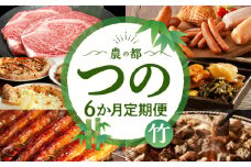 ≪6か月お楽しみ定期便≫都農町定期便(竹) 肉 加工品 鰻 国産_T999-0061