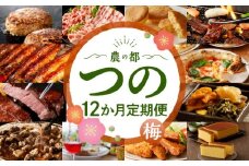 【10月1日より寄附額改定】≪12か月お楽しみ定期便≫都農町定期便(梅) 肉 加工品 デザート 国産_T999-0082