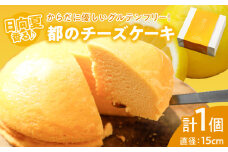 【2週間以内発送】農の都で生まれた「都のチーズケーキ」計1個 スイーツ 洋菓子 国産_T038-009