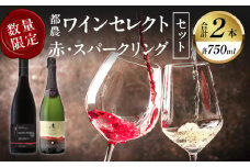 ≪数量限定≫都農ワインセレクト赤・スパークリング2本セット 酒 飲料 アルコール 国産_T014-012
