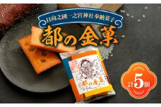 【2週間以内発送】日向之國一之宮神社奉納菓子「都の金菓（計5個）」スイーツ お菓子 国産_T038-010