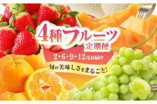 ≪定期便全4回≫2月・6月・9月・12月お届け!!４種フルーツ定期便★フルーツ 果物 デザート 国産_T015-009