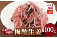 ＼ポスト投函／梅酢生姜100g おかず 漬物 野菜 加工品 国産_T037-010