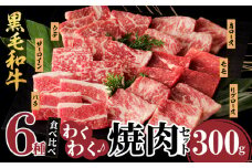 【令和7年8月発送】生産者応援≪訳あり≫黒毛和牛(経産牛)6種焼肉セット(合計300g) 肉 牛 牛肉 おかず 国産_T030-119-08