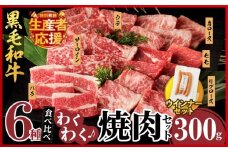 【令和7年11月発送】生産者応援!!【期間・数量限定特別規格】≪訳あり≫黒毛和牛(経産牛)6種焼肉セット(合計300g) ＆粗挽きウインナー 肉 牛 牛肉 おかず 国産_T030-119-U-11