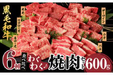 【令和7年8月発送】生産者応援≪訳あり≫黒毛和牛(経産牛)6種焼肉セット(合計600g) 肉 牛 牛肉 おかず 国産_T030-120-08