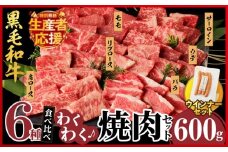 【令和7年11月発送】生産者応援!!【期間・数量限定特別規格】≪訳あり≫黒毛和牛(経産牛)6種焼肉セット(合計600g)＆粗挽きウインナー 肉 牛 牛肉 おかず 国産_T030-120-U-11