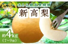 先行予約≪期間限定≫まるみ観光果樹園の『新高梨』(約4kg) なし 果物 フルーツ 天然 ミネラル栽培_T036-002