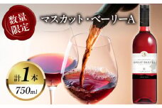 【数量限定】マスカット・ベーリーA (計1本) 酒 飲料 アルコール 国産_T014-024