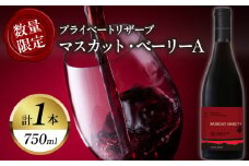 【数量限定】プライベートリザーブ マスカット・ベーリーA(計1本) 酒 飲料 アルコール 国産_T014-027