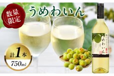 【数量限定】うめわいん(計1本) 酒 飲料 アルコール 国産_T014-029