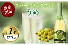 【数量限定】スパークリングワインうめ(計1本) 酒 飲料 アルコール 国産_T014-030