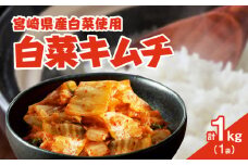 白菜キムチ 計1袋 (1kg) 漬物 おかず 野菜 加工品 国産_T025-040