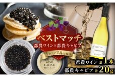 【期間・数量限定】＼ベストマッチ!!／都農ワイン&都農キャビア 魚 魚介 酒 ワイン 国産_T999-026