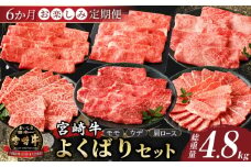 6か月お楽しみ定期便『宮崎牛よくばりセット』総重量4.8kg 肉 牛 牛肉 おかず 国産_T030-184