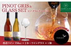 先行予約≪数量限定≫都農ワイン ピノグリ2本&グラスセット 酒 飲料 アルコール 国産 ロナ_T014-021