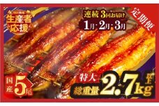 先行予約≪連続定期便全3回≫1月・2月・3月お届け!!生産者応援!!【数量限定特別規格】うなぎ蒲焼5尾(総重量2.7kg以上) 鰻 魚 魚介 加工品 国産_T026-0056