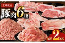 【令和7年11月発送】≪宮崎県産≫豚肉6種＼てげスゲーセット／合計2kg 肉 豚 豚肉 おかず 国産_T009-030-11