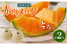 先行予約≪期間限定≫都農町産「赤肉メロン」計2玉 フルーツ 果物 デザート 国産_T015-0061-F