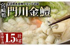 門川金鱧(計1.5kg)骨切り済 ハモ 小分け 冷凍 魚介類 鍋 丼 国産 宮崎県 門川町【O-1】【門川漁業協同組合】