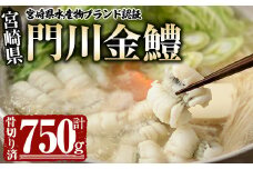 門川金鱧(計750g)骨切り済 ハモ 小分け 冷凍 魚介類 鍋 丼 国産 宮崎県 門川町【O-3】【門川漁業協同組合】