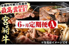 【定期便・全6回(連続)】宮崎牛定期便＜Aセット＞お楽しみ便 牛肉 国産 定期 ヒレ肉 モモ ウデ ロース バラ スライス 宮崎県産 黒毛和牛 焼肉 ステーキ しゃぶしゃぶ すき焼き【R-67】【株式会社ミヤチク】