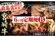 【定期便・全6回(連続)】宮崎牛定期便＜Bセット＞お楽しみ 牛肉 国産 定期 ヒレ肉 ひれにく モモ ウデ ロース バラ スライス 宮崎県産 黒毛和牛 焼肉 ステーキ しゃぶしゃぶ すき焼き【R-68】【株式会社ミヤチク】