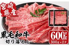 宮崎県産黒毛和牛切り落とし(計600g・300g×2P)牛肉 精肉 お肉 モモ 肩 カタ バラ ミックス 小分け すき焼き しゃぶしゃぶ 牛丼 肉じゃが 国産 冷凍【P-20】【南日本フレッシュフード株式会社(日本ハムマーケティング株式会社)】