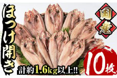 国産ほっけ開き(10枚・計1.6kg以上)干物 セット 魚 魚介類 簡単 調理 冷凍【E-17】【水永水産】