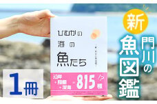 新・門川の魚図鑑(1冊)お魚 知育 学習 本 書籍【AI-3】【門川町地域振興課】