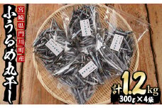 宮崎県産！小うるめ丸干し(計1.2kg・300g×4袋)【AS-8】【岩田水産】